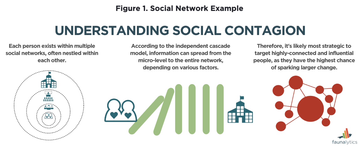 understand social contagion infographic